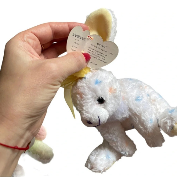 Ty Beanie Babies Retired Collectible March/Aug/September 2001 - Picture 6 of 16